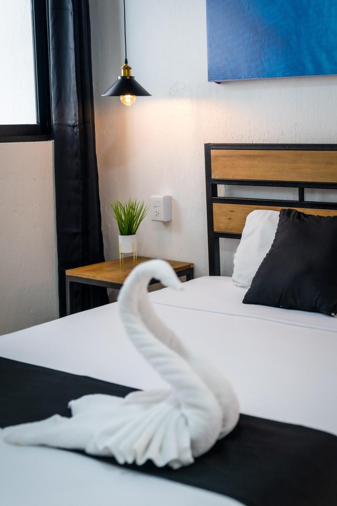 Casa Maca Hotel Playa del Carmen Eksteriør billede