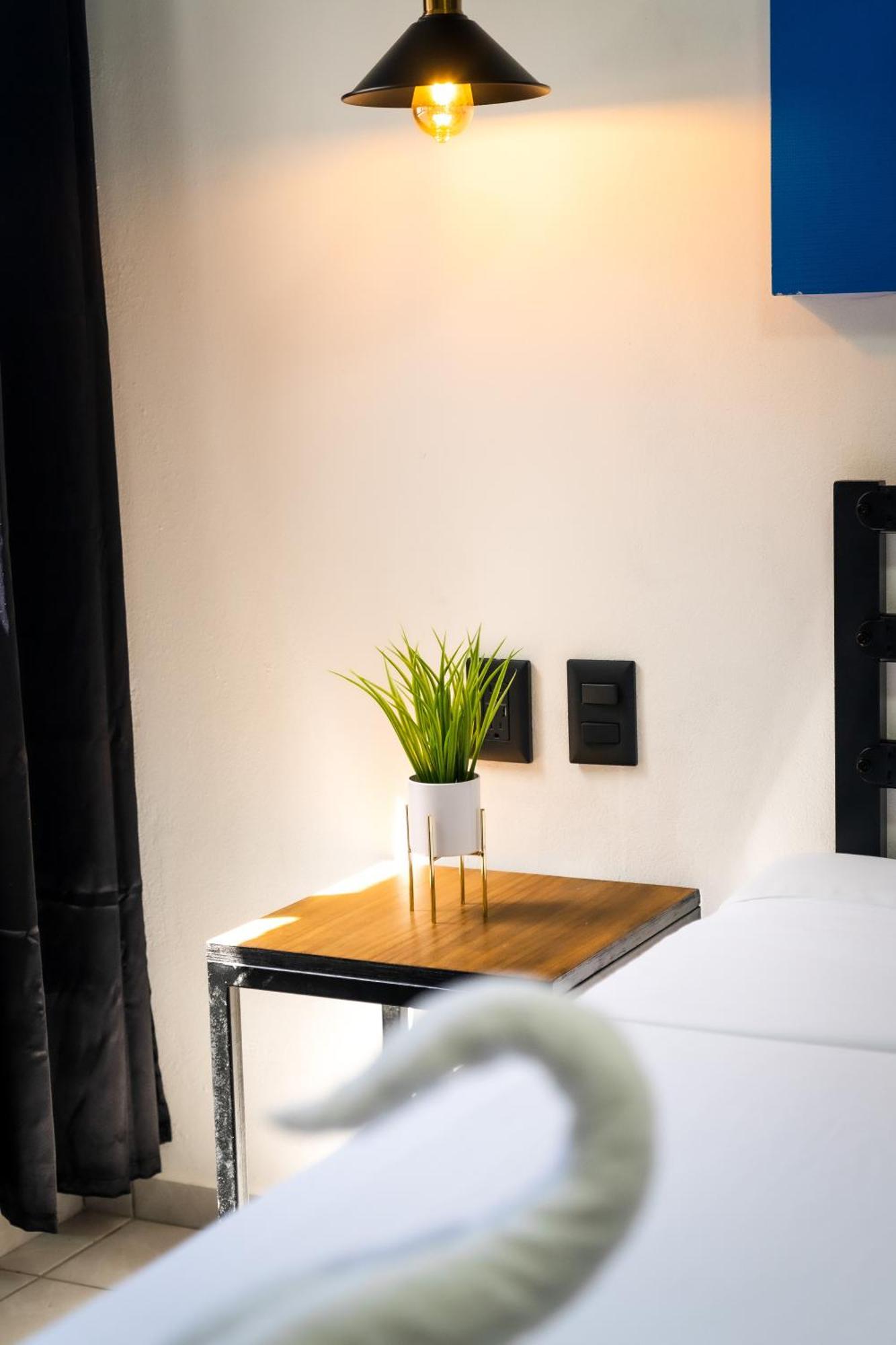 Casa Maca Hotel Playa del Carmen Eksteriør billede